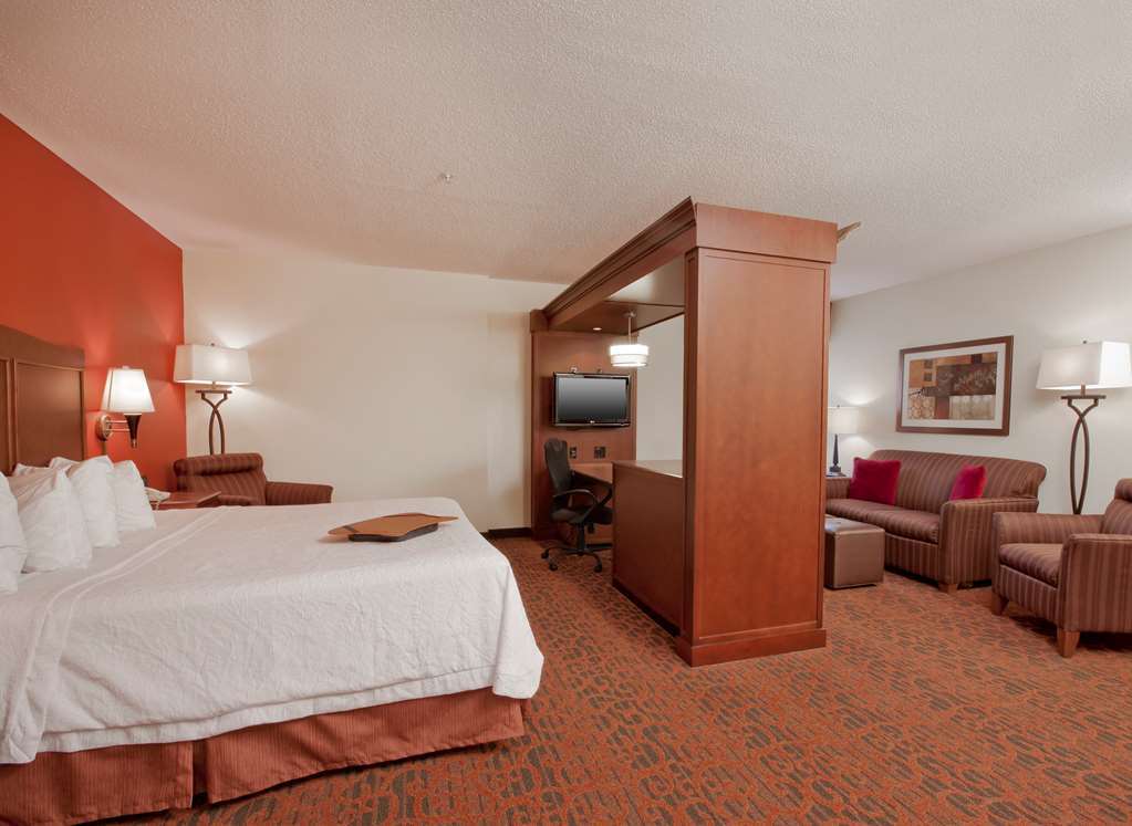 Hampton Inn Grand Rapids/North Walker Værelse billede